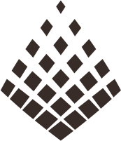 активные корпоративные мероприятия в шишках