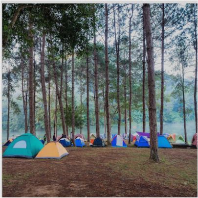 Кемпинг для корпоративных мероприятий от 100 челевек